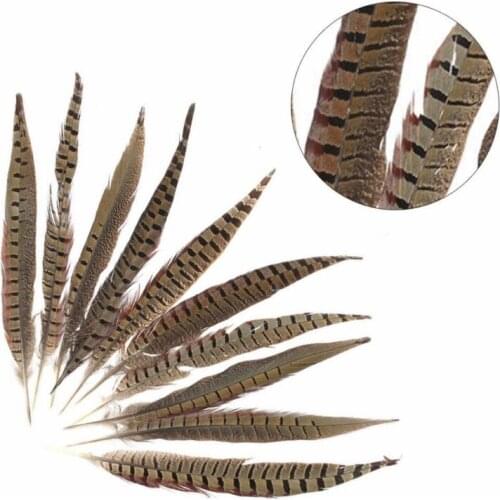 10 x pheasant tail feather gold pheasant feather handicrafts Indian feathers feather headdress