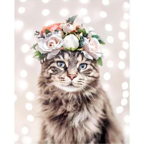 Dpsupr Full Square/Round Drill 5D DIY Diamond Painting "Animal Cat" 3D Embroidery Cross Stitch 5D Home Decor Gift F212