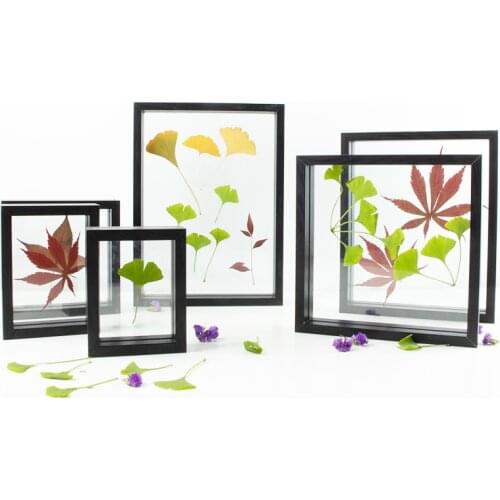 Creative Dried Flower Leaf Specimen Frame Square A4 Paper-cut DIY Picture Frame Double-Sided Glass Photo FrameCreative Dried Flo