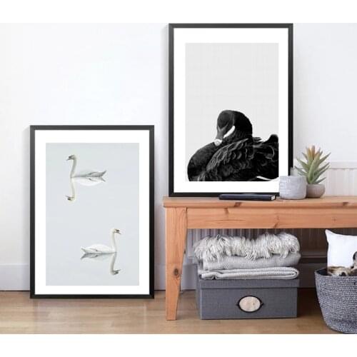 Nordic Decoration Home Painting Black and White Swan Animals Landscape Wall Art Canvas Posters and Prints Home Decor No Frame