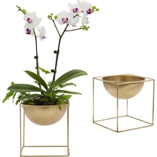 Iron Flower Stand Plant Green Succulent Watering Planting Pot For Indoor Decorations Garden Decoration Flower Pot