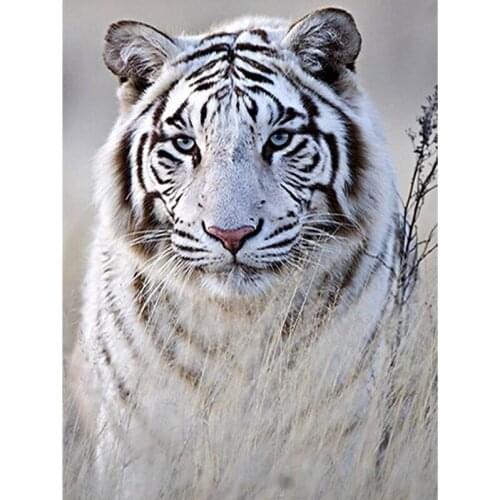 5D Diamond Painting Cross Stitch Diamond Embroidery Wild White Tiger Full Square Rhinestones Home Decoration Needle Craft KBL