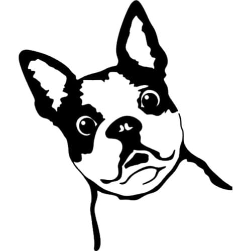 10.3*12CM French Bull Dog Vinyl Decal Funny Window Stickers Styling Decoration