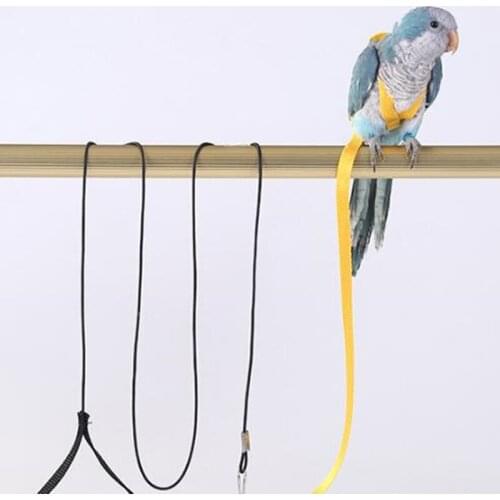 Pet Parrot Bird Traction Rope Outdoor Training Pet Bird Flying Rope Traction Rope Pet Supplies