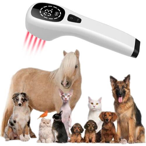 Medical Cold Laser Acupuncture Multi-functional Pain Relief Physical Light Therapy 808nm 650nm 660mW Strong Power