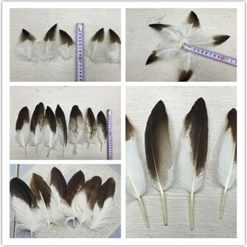 Wholesale 10pieces scarce natural golden eagle feathers 2-10 inch /5-27 cm Jewelry accessories stage performance decoration diy