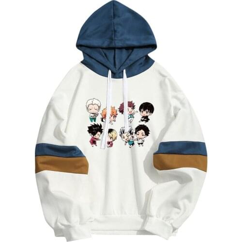 Anime Streetwear Haikyuu Captains Kotaru Bokuto Chibi Hair Men Women Hoodies Unisex Sweatshirt Streetwear Dropship Clothing