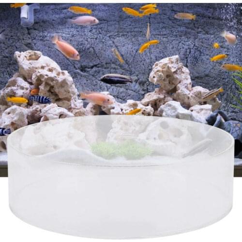 Coral Magnifying Fish Tank Acrylic Coral Observe Lense Aquarium Fish Photograph Cylinder Magnifier Fish Tank Accessory