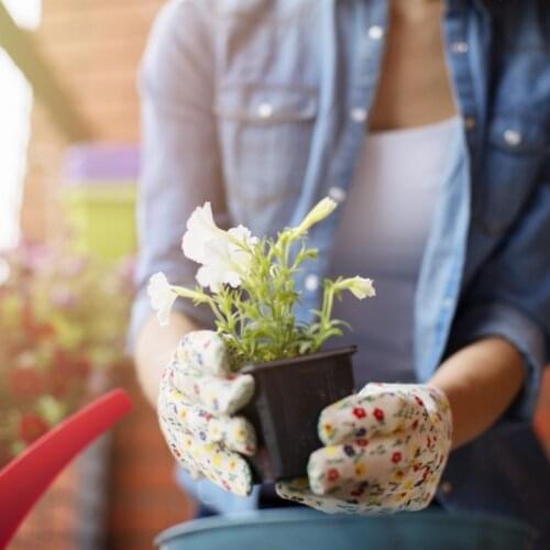 12/15pcs Cells Seedling Starter Tray Seed Germination Plant Flower Pots Nursery Grow Box Garden Planting Containers Cups