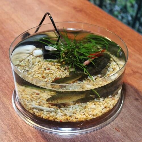 Creative Desktop Small Fish Tank Goldfish Tank Turtle Tank Reptile Breeding Box Plastic Cylinder Ecological Landscaping Cylinder