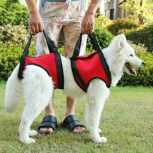 Soft Neoprene Dog Lift Support Harness Elderly Weak Canine Aid With Handle For Injuries Arthritis For Small Medium Large Dog Pet