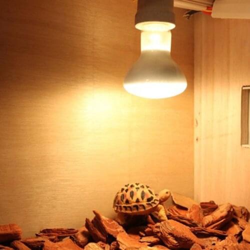 Товары для скалолазания и альпинизма FANZHI China At AliExpress