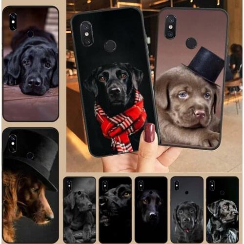 Sad Labrador Dog cute animal high quality Phone Case shell For Xiaomi Redmi note 7 8 9 t k30 max3 9 s 10 pro lite