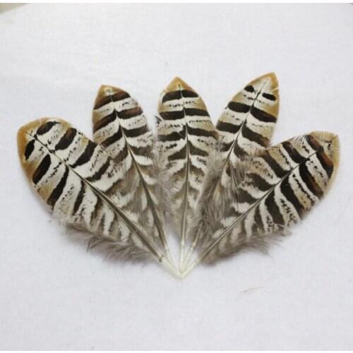 Wholesale perfect 10pcs Rare natural Reevess Pheasant feathers 2-4inch/5-10cm Decorative diy