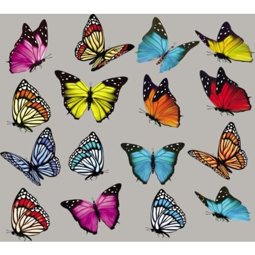 Butterfly Set Clothing Patches Appliqued Diy Heat Transfer Tops Vinyl Fashion Transfers For Clothing Shoes Printing Pattern