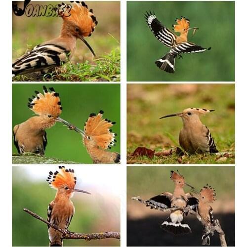 5D Diy Diamond Painting Hummingbird Cross Stitch Kit Animal Embroidery Mosaic Landscape Hand Inlaid Home Gift Design