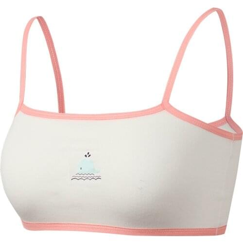 3Pcs New Developmental Childrens Underwear Female Students Cute Cartoon Pure Cotton Childrens Bra Girls 5-8-12 Years Old