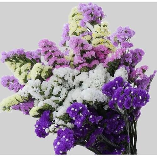 60CM Crystal Grass Natural Fresh Dried Preserved Forget Me Not Flowers,Real Forever Lover Grass Branch For Home Table Decoration
