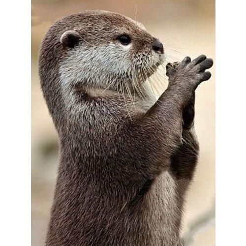 DIY 5D Diamond Painting Full Square Otter Cross Stitch Diamond Embroidery Animals Needlework Round Drill Home Decor