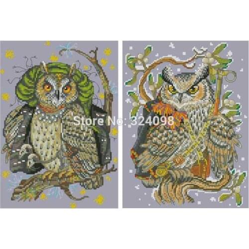 Wizard Witch Owl patterns Counted Cross Stitch 11CT 14CT DIY wholesale Chinese Cross Stitch Kits Embroidery Needlework Sets