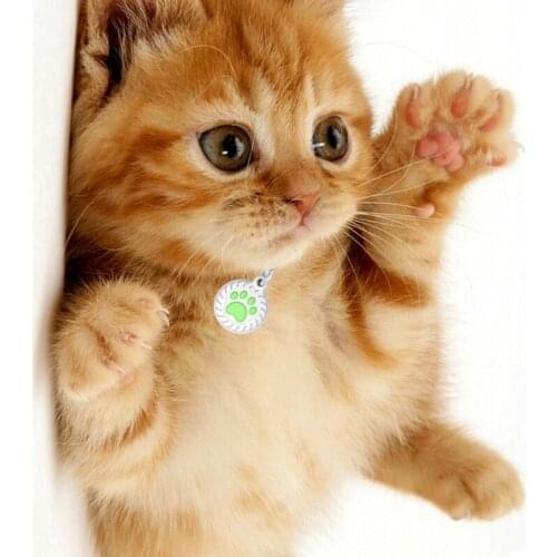 Protective Case for Airtag Tracking Locator，Anti-Lost Tracker Finder Protector