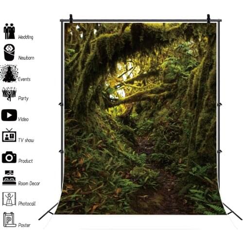 Forest Jungle Backdrops For Photography Green Rain Tropical Tress Moss Shrub Pathway Scenic Photo Backgrounds For Photo Studio