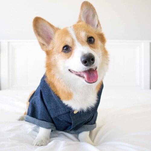 New Fashion Dog Clothes Hawaiian Spring French Bulldog Corgi Shiba Pet Dog Clothes Denim Shirt Pet Puppy Home Clothes