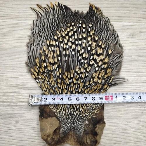 Hot Wholesale Rare 1pcs Beautiful Natural Pheasant Feathers For DIY Jewelry Craft Making Decoration