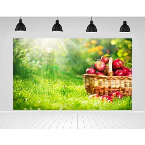 Scopiso Easter Photographic Backdrop Art Fabric Newborn&pet Photography Background Fotografia Photocall Photo Studio Props