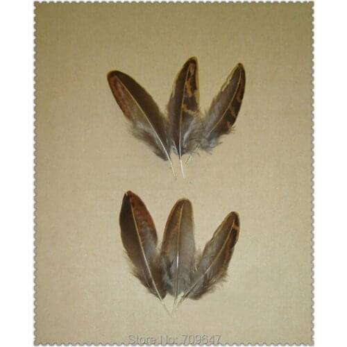 50Pcs/Lot! 5-7cm Loose Feathers Rarely Unique Golden Pheasant Small Feathers,Pheasant Feathers,Feather Decoration