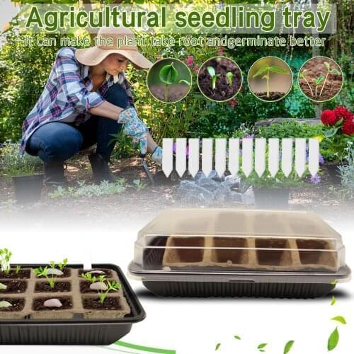 Plastic Seedling Tray Combined Square Cultivation Pot Small Transparent Agricultural Nursery Pot Propagation Clone Starter Pad