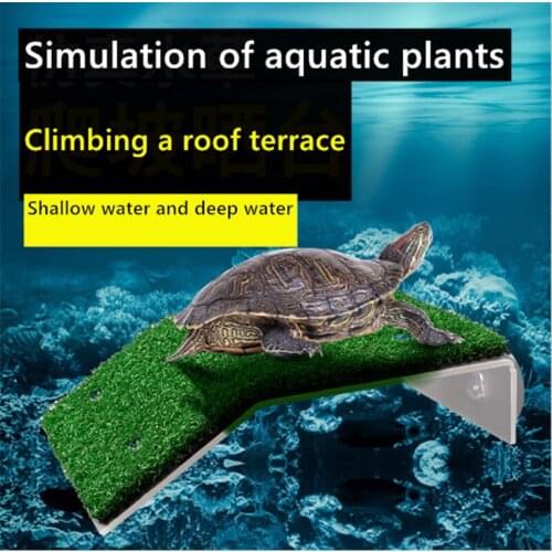 Simulation of Lawn Turtles Sunrise Climbing Platform Aquarium Sunrise Floating Island Climbing Landscape