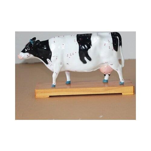 Cattle Acupuncture point model animal Dissection model animal Medical Model free shipping