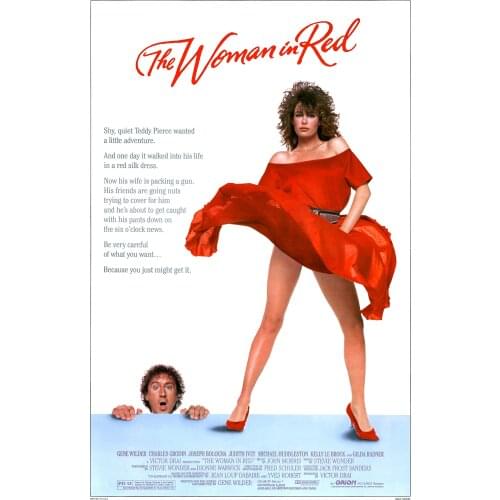 The Woman in Red MOVIE Art Silk Poster Print 24x36inch