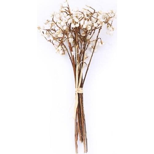 Natural Cotton Balls Dired Flower Plants Dry Artificial Dried Flowers Ginkgo Christmas Party Wedding Home Diy Decoration Fl I2Q8