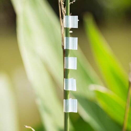 10pcs White Horticultural Grafting Clip Round Tube Stake Garden Retaining Clip Greenhouse Frame Pipe Supply Gardening Tools