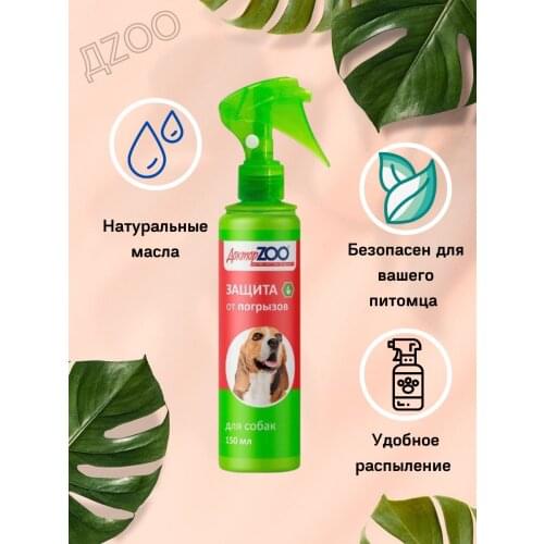 Доктор Zoo  China