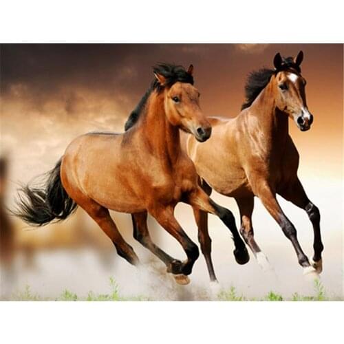 Horse Animal DIY 11CT Embroidery Cross Stitch Kits Needlework Craft Set Printed Canvas Cotton Thread Home Decoration Sell