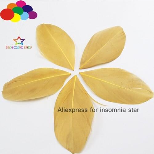 100PCS Goose Feathers loose round head Khaki small Genuine Feathers Cosplay Party Decorate Halloween Craft 2-3 Inches