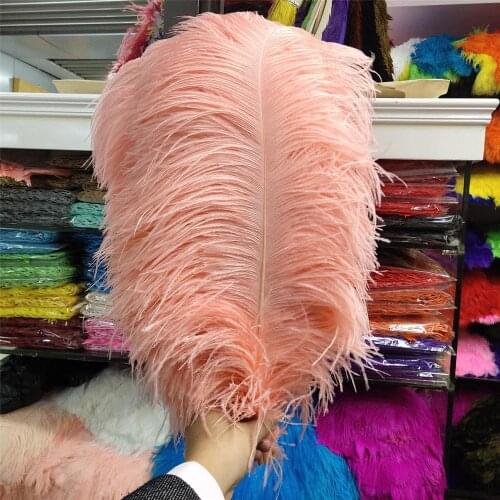 Hot Sales 100pcs Gorgeous Shrimp Powder 22-24inches/55-60cm DIY jewelry Christmas Halloween Decoration Natural ostrich feathers