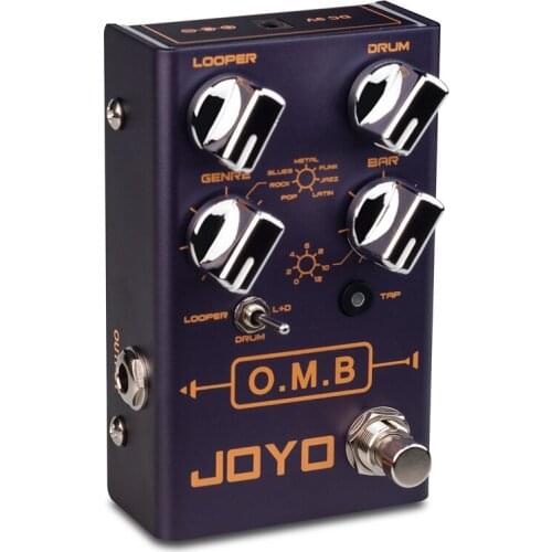 Electric box guitar bass looper phrase loop multi-track recording drum machine single block effect R-06, Input Impedance: 2.2MΩ