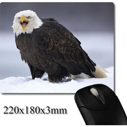 Screaming whiteheads Bald Eagle printed Heavy weaving anti-slip rubber pad office mouse pad Coaster Party favor gift 220x180x3mm