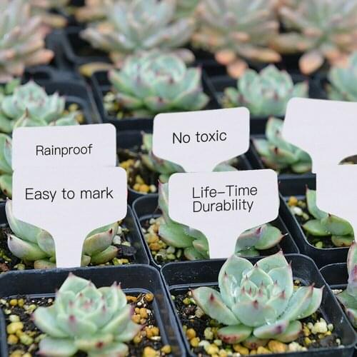100/200 PCS PVC T-type Plants Pot Insert Labels Reusable White Garden Plant Sorting Sign 10*6cm Waterproof Markers Plant can CSV