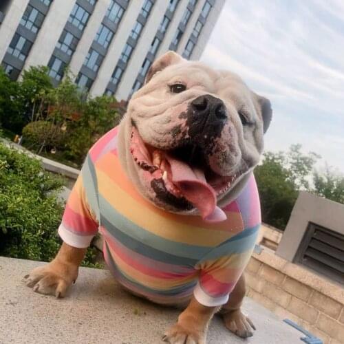 Color striped vest T sleeve elastic back method fighting bullies fat dog clothes spring summer thin vest