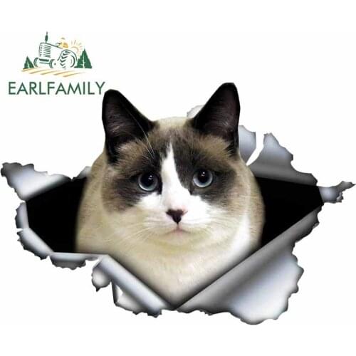 EARLFAMILY 13cm x 9cm For Cat Motorcycle Car Stickers Fashion Graphics Decal DIY Surfboard Waterproof Scratch-Proof Decoration
