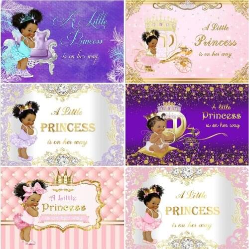 Baby Shower Backdrop A Little Princess is on the Way Cartoon Photography Backgrounds Party Decor Photo Booth Studio Prop