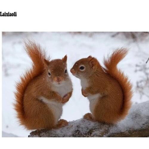 5d Diy Daimond Painting diamond rhinestone full square drill full round diamond embroidery Squirrel forest animal picture decor