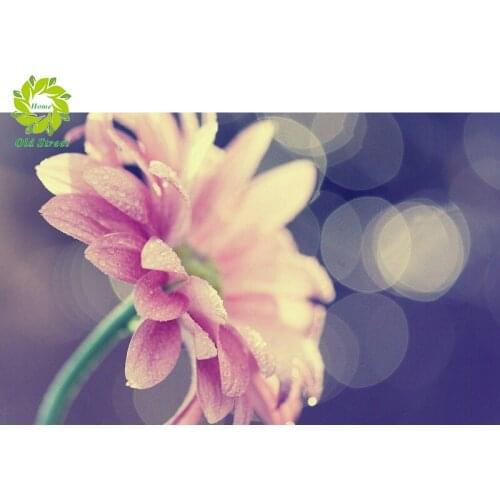 OSH Full Square/Round crystal drill DIY Diamond embroidery pink flower Painting Cross Stitch Rhinestone Mosaic decoration