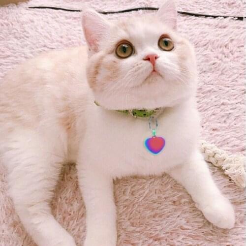 Colorful Stainless Steel Tag Dogs Bone Heart Shape DIY Necklace Pendant Cats Name ID Tag Identity Plate Tags for Pets