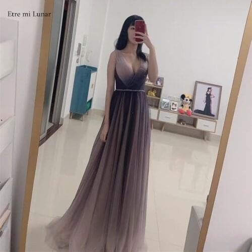 V neck Tulle Evening Dresses 2020 Long Pleats A line Sleeveless Prom Dress Formal Party Dress Celebrity Dresses LE40810